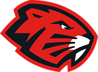 Бобруйск U17